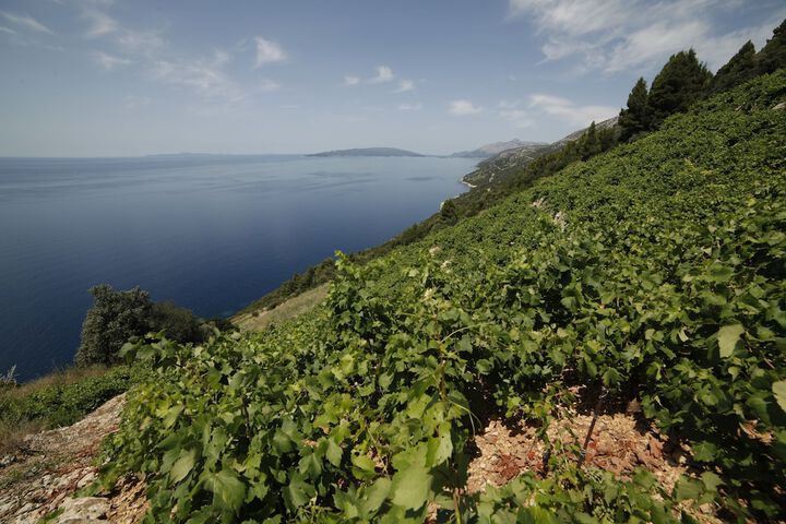 Winery