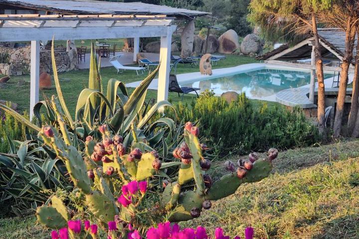 Spa and Wellness Pictures