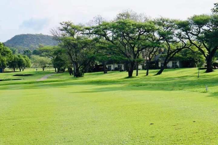 Golf 15 of 30