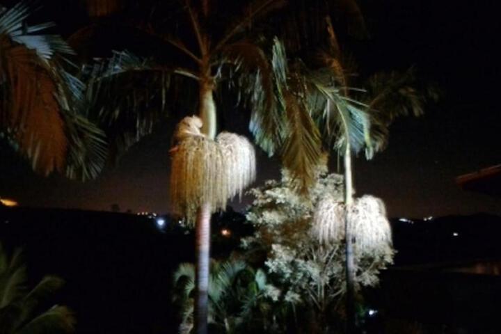 General 40 of 68