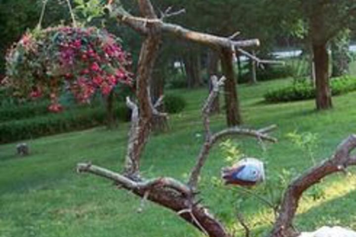 Hotel Exterior 14 of 60