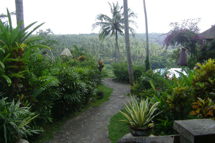 TAMAN BEBEK