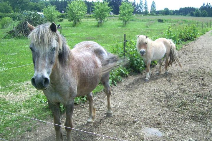 Photo 26