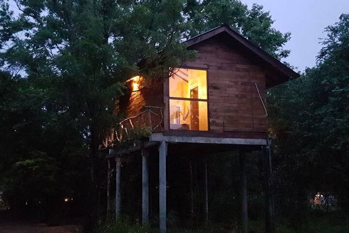 Property Grounds 51 of 62