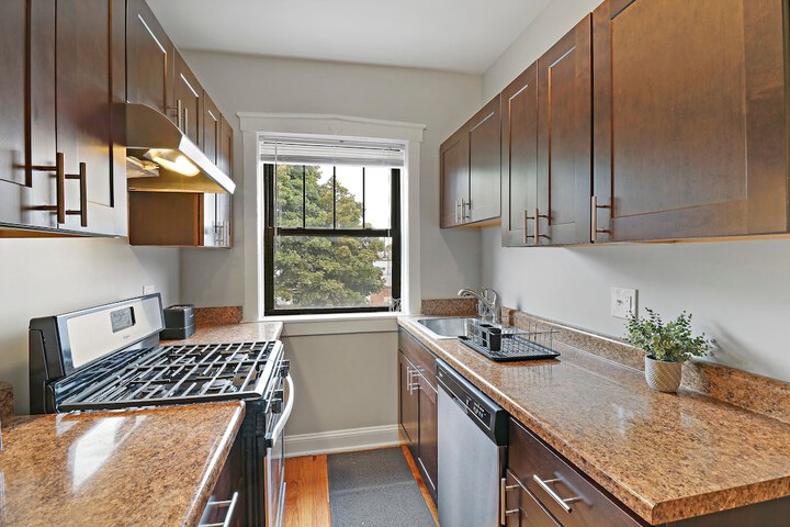 Portage Park Classic 1BR Apt in Montrose in Chicago, IL