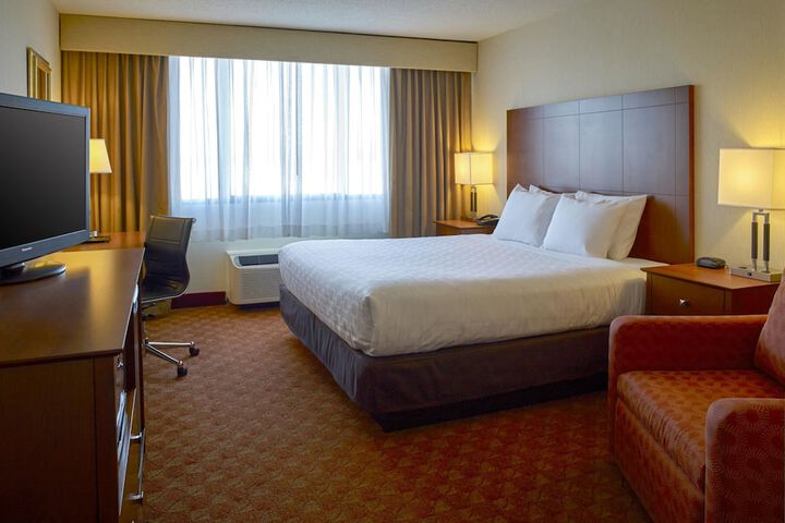 1 King Bed Pet Friendly (3 of 9)