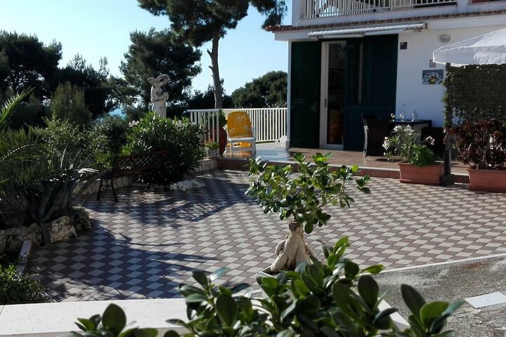 Terrace/Patio 24 of 77