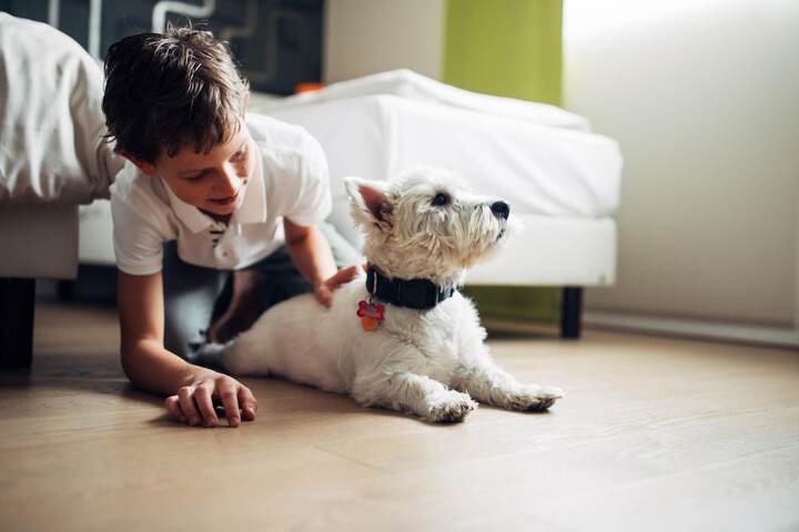 Pet Friendly 71 of 109