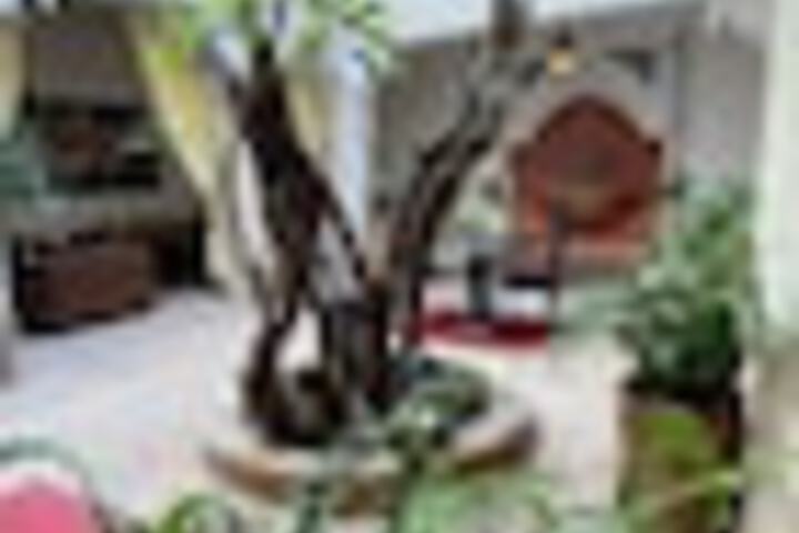 Terrace/Patio 332 of 435
