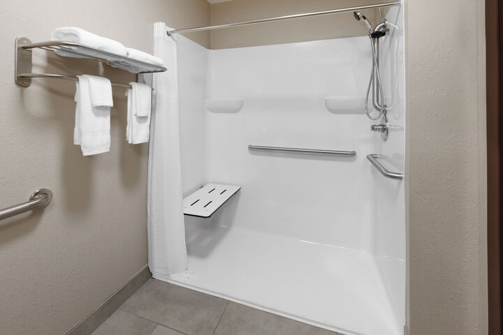 1 Double Bed Accessible Room Roll in Shower with Grab Bars (2 of 14)