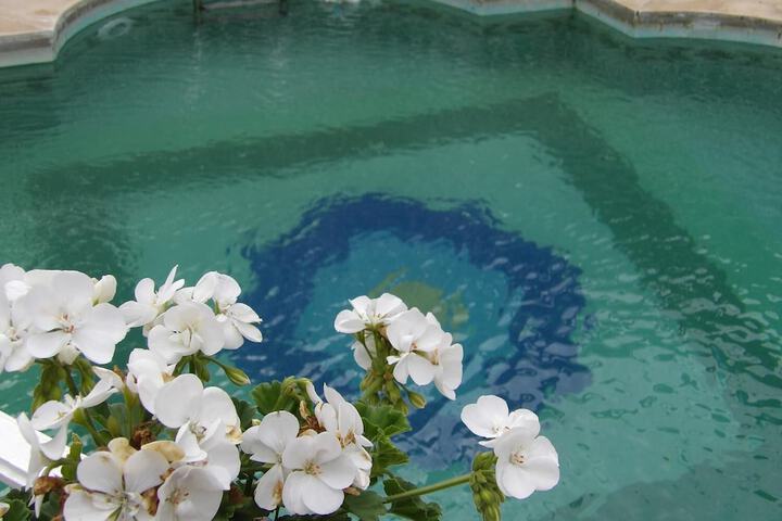 Pool 21 of 43