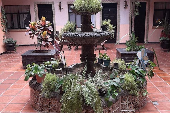 Terrace/Patio 20 of 23
