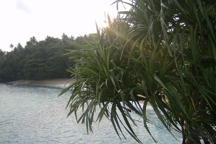 Beach 27 of 55