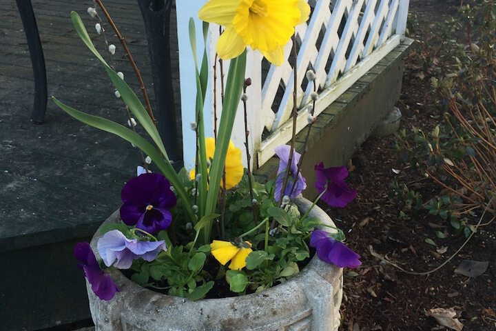 Hotel Exterior 105 of 115