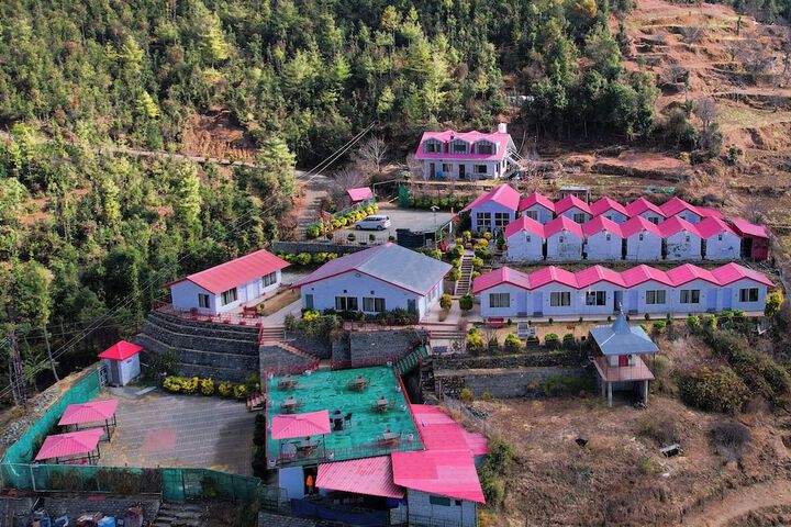 Mosaic Go Chail in Shimla