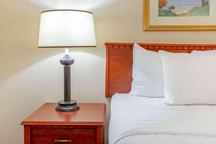 Deluxe King Bed (4 of 10)