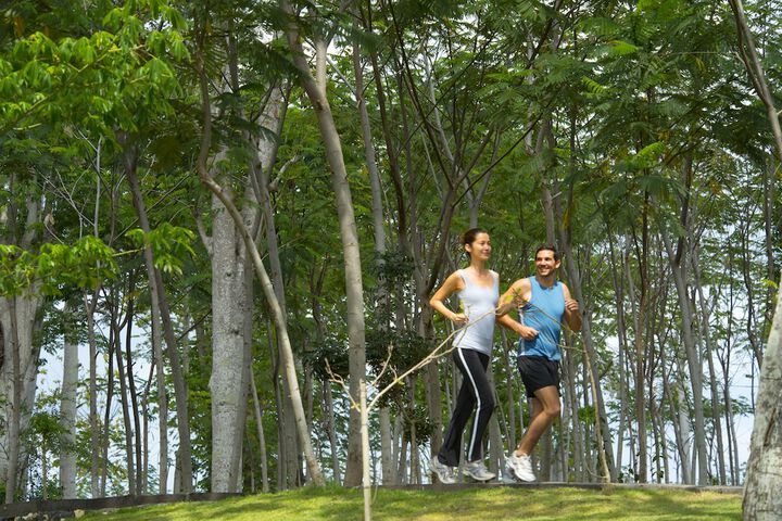 Health and Fitness 131 of 204