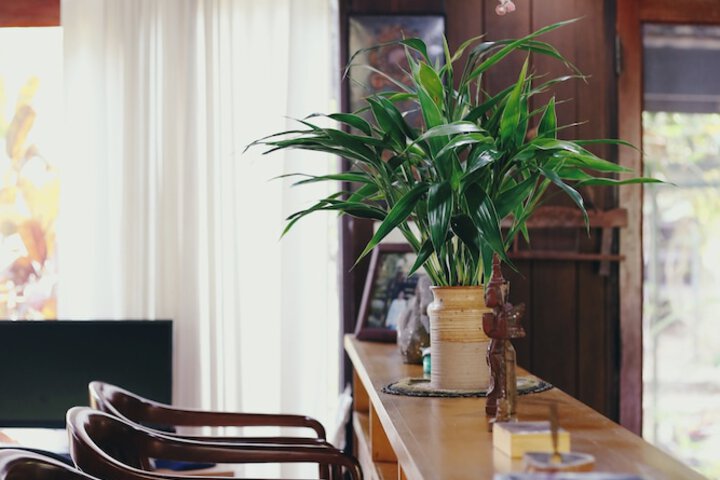 Lounge 42 of 67