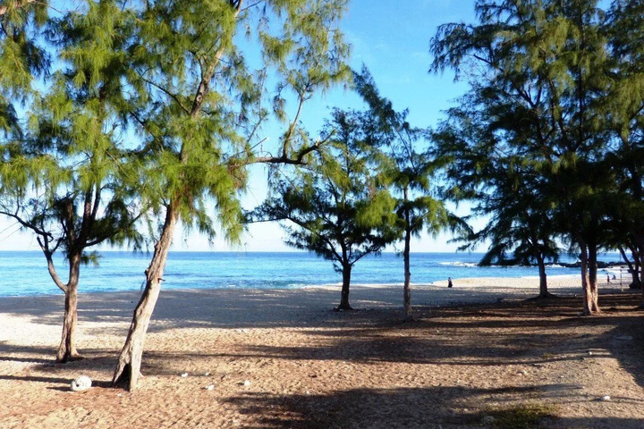Beach 12 of 23