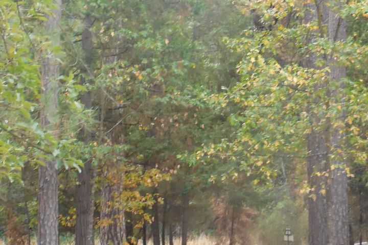 Property Grounds 18 of 40