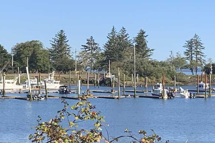 Property Grounds 147 of 194