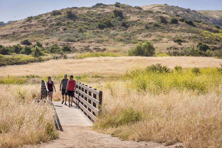 Hiking