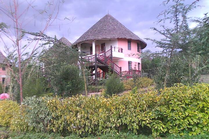Room 4 of 87