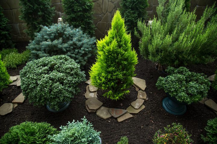 Terrace/Patio 50 of 95