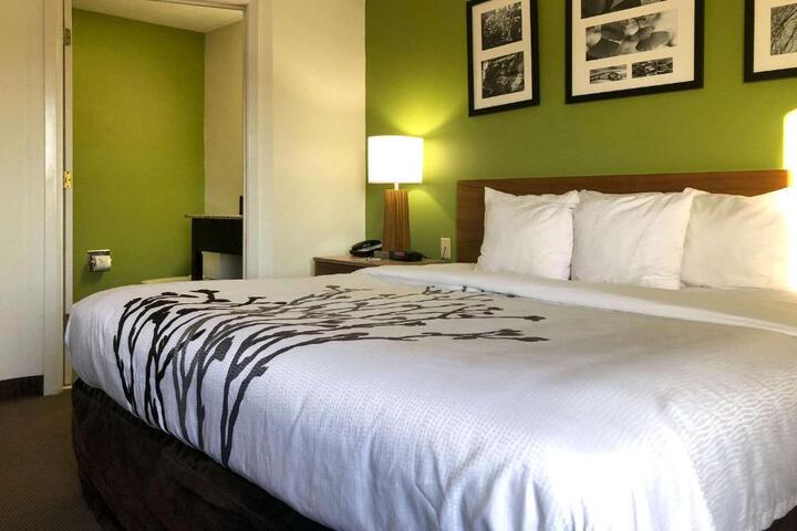 1 Double Bed Accessible (4 of 12)