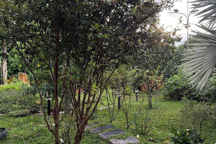 Property Grounds 20 of 25