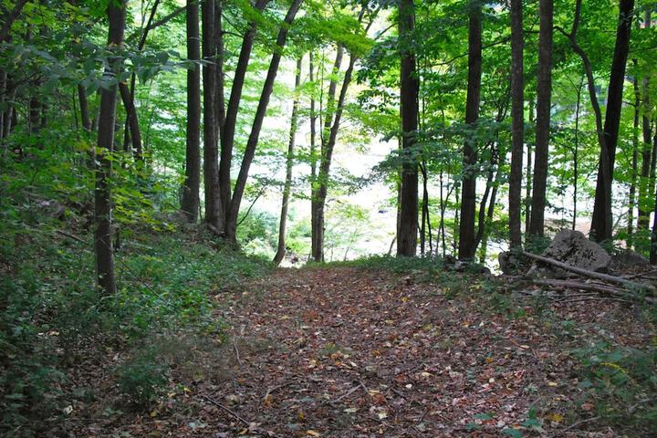 Property Grounds 27 of 37