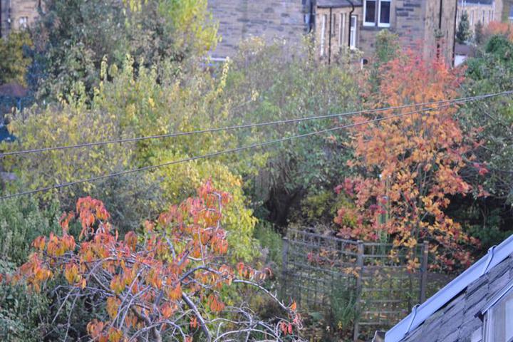 Spa and Wellness Pictures