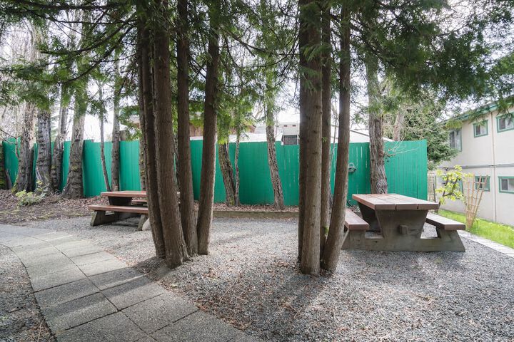 BBQ/picnic area
