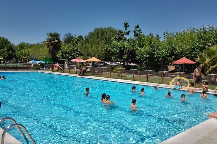 Photo 8
