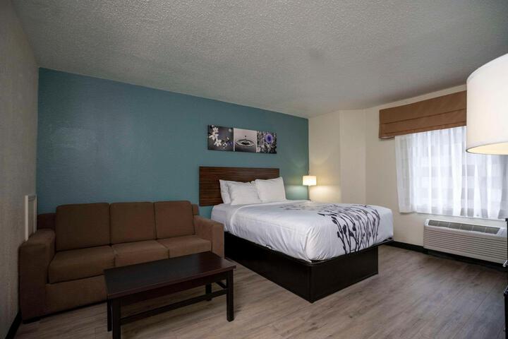 1 Queen Bed Mobility Hearing Accessible Room Bathtub with Grab Bars (3 of 9)