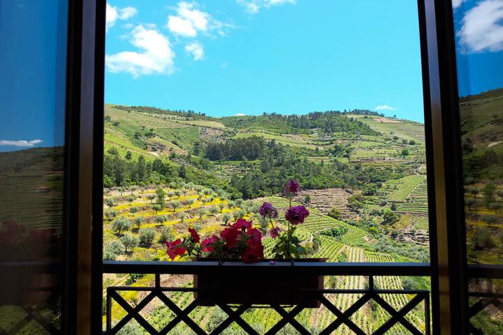 View from room