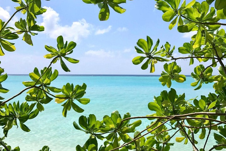 Beach 58 of 62