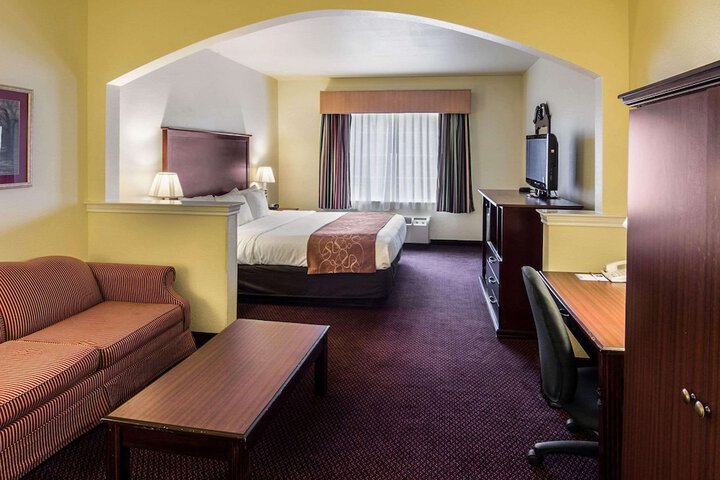 1 King Bed Suite (7 of 17)