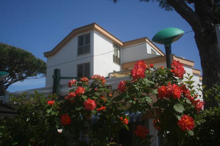 Hotel 55 of 59
