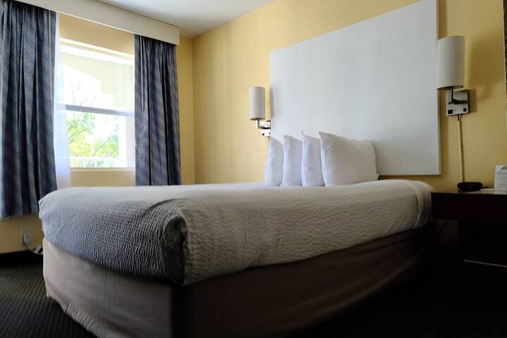 1 Queen Bed (7 of 19)