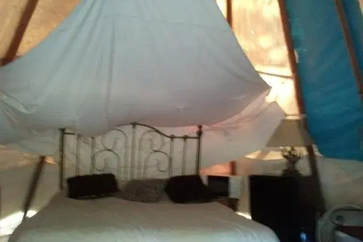 DIAMOND JOHNS RIVERSIDE RETREAT