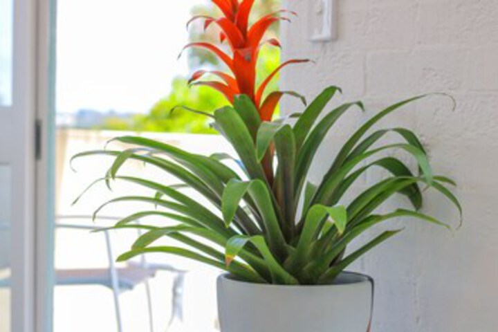 Hotel Interior 11 of 18