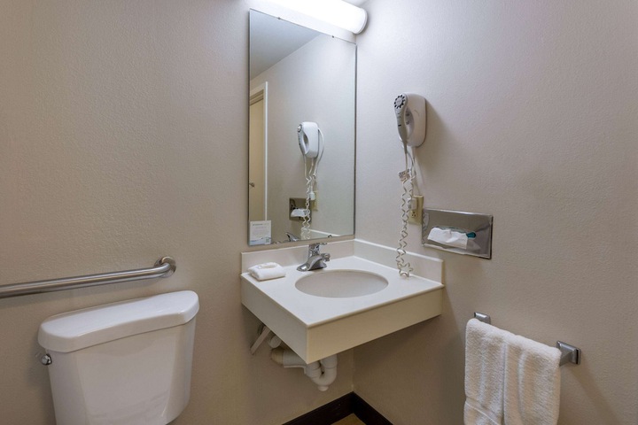 1 King Bed Executive Mobility Accessible Bathtub with Grab Bars (10 of 14)