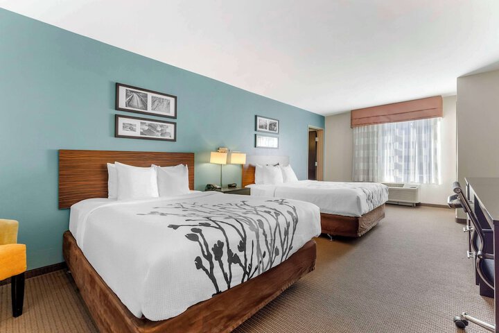 Quadruple Accessible Queen Size Bed (6 of 12)