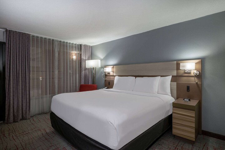 1 King Bed (4 of 20)