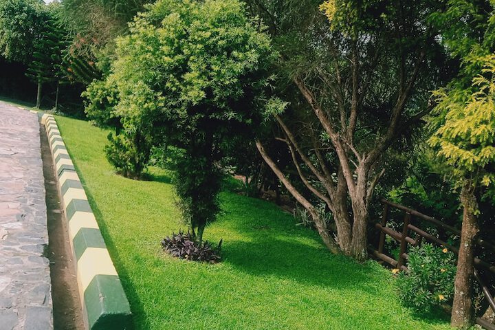 Terrace/Patio 11 of 26