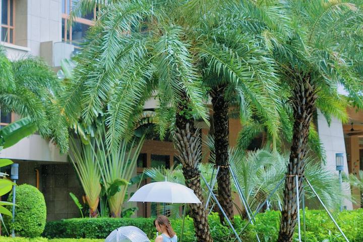 Hotel Exterior 164 of 202