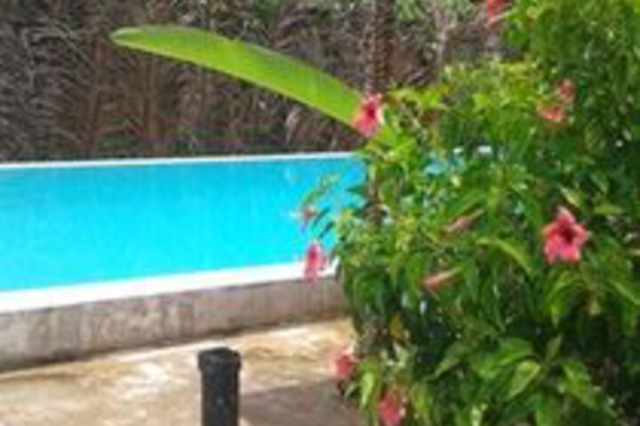 Pool 117 of 145