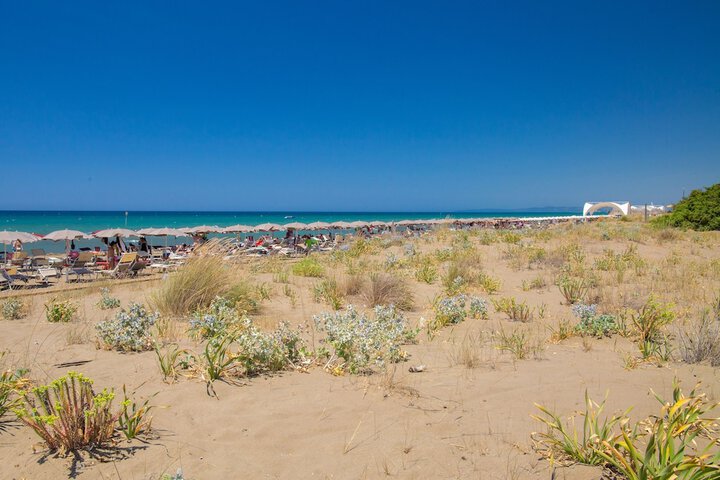 Beach 147 of 159