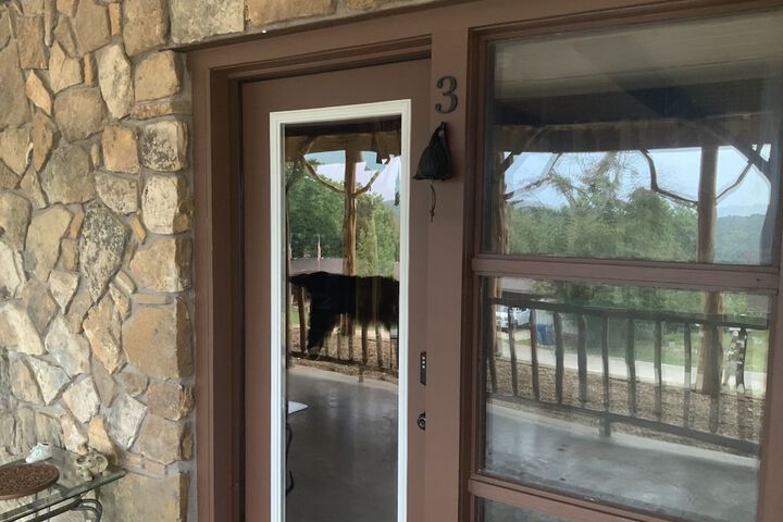 Terrace/Patio 56 of 80